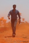 Ajay Devgan in Singham Movie
