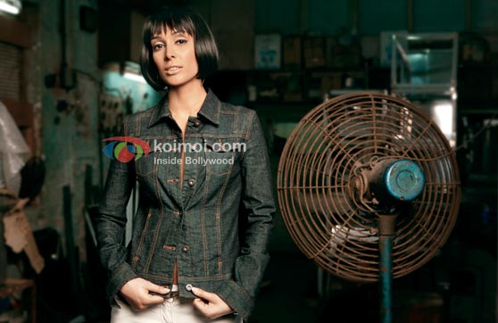 Preeti Desai Hot Photo Shoot