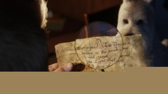 The Adventures Of Tintin Movie Stills