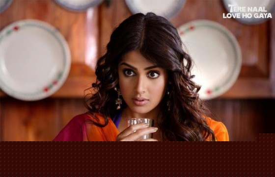 Genelia D'souza (Tere Naal Love Ho Gaya Movie Stills)