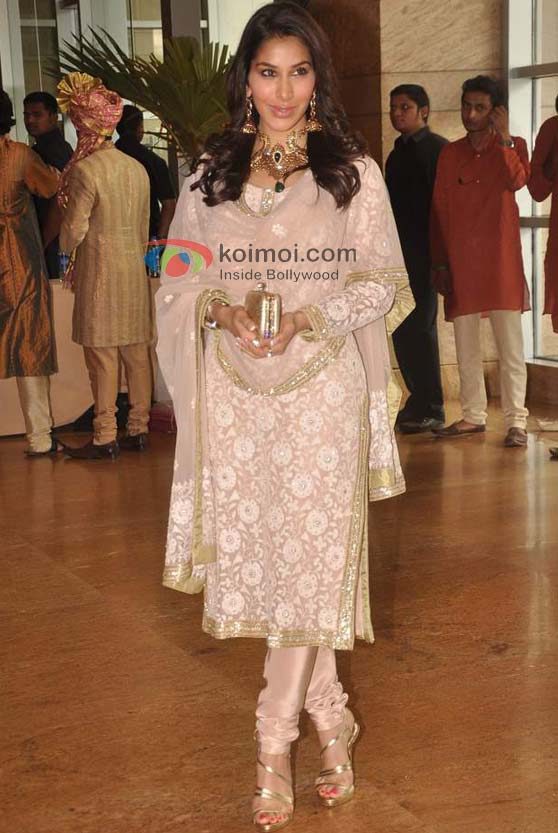 Sophie Choudry At Ritesh-Genelia Wedding