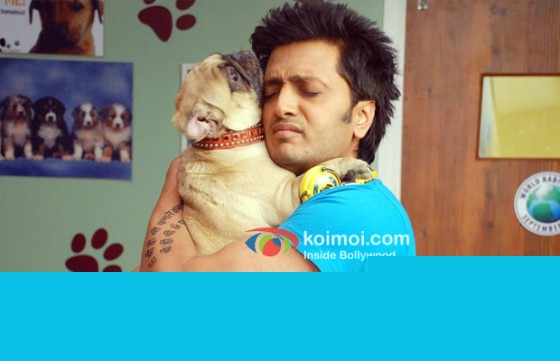 Ritesh Deshmukh (Kyaa Super Kool Hain Hum Movie Stills)