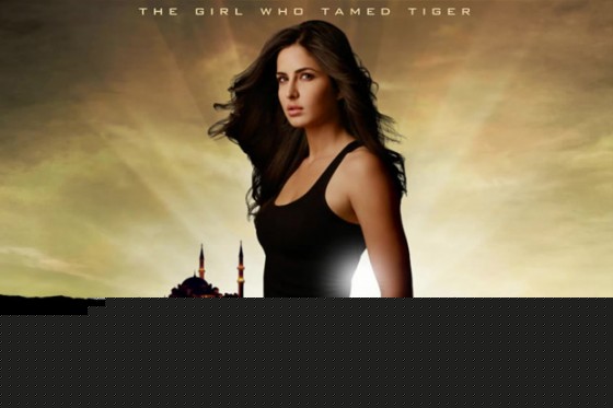 Katrina Kaif in Ek Tha Tiger Movie Poster Wallpaper