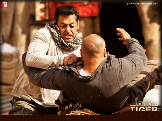 Salman Khan Ek Tha Tiger Movie Wallpaper 1