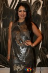 Mahima Choudhary At Kiran Chopra’s Exhibition