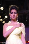 Eesha Koppikhar-Ayesha Dharkar At IIJW Day 2