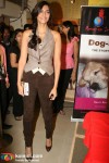 Sonam Kapoor Unveils Simba Book