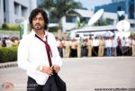 ‘Knock Out’ Stills & Posters