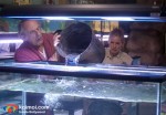 ‘Piranha 3D’ Stills