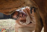 ‘Dus Tola’ Stills