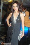 Amrita Rao, Tulip Joshi, Kashmira Shah At Amby Valley Bridal Week