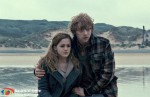‘Harry Potter And The Deathly Hallows: Part 1′ Stills
