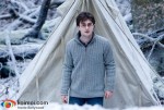 ‘Harry Potter And The Deathly Hallows: Part 1′ Stills