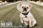 'Due Date' Stills