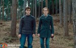 ‘Harry Potter And The Deathly Hallows: Part 1′ Stills