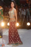 Katrina Kaif