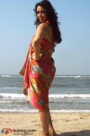 Nauheed Cyrusi