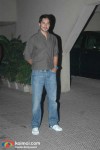 Dino Morea