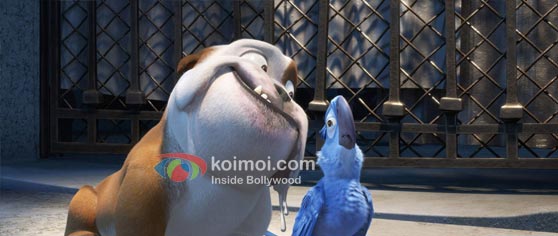 Rio Movie Review (Rio Movie Stills)