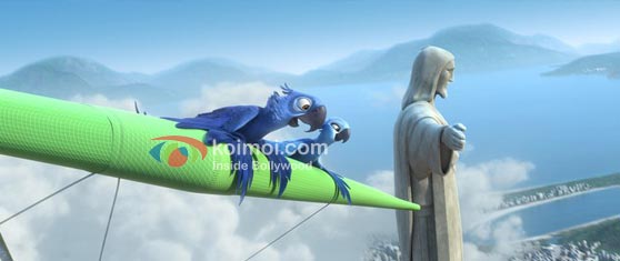 Rio Movie Review (Rio Movie Stills)