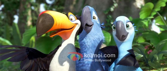 Rio Movie Review (Rio Movie Stills)