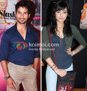 Shahid Kapoor Annoyed At Rumours About Bani (Shahid Kapoor, VJ Bani)