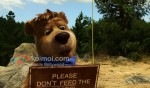 Yogi Bear Movie Stills