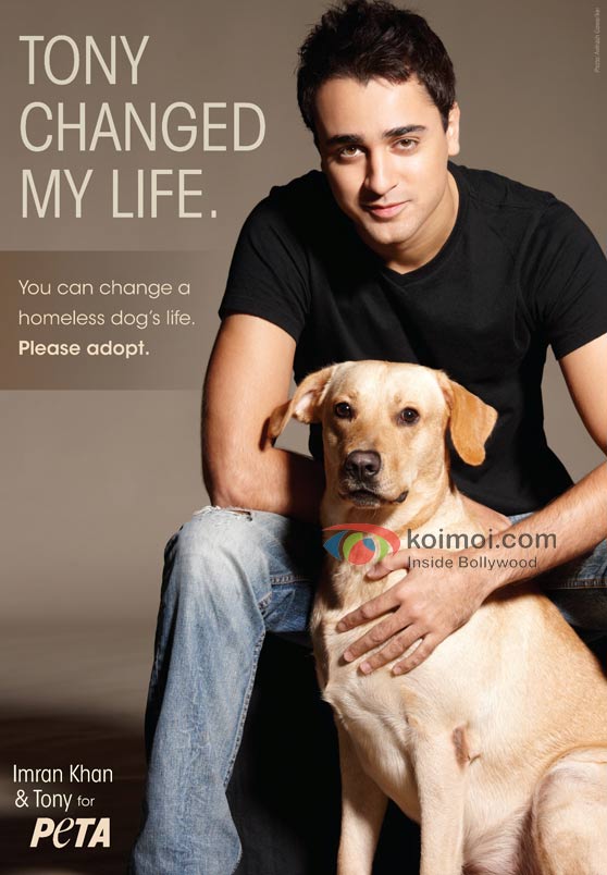 Imran Khan Urges People To Adopt Homeless Dogs (Imran Khan PETA)