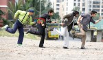 Jaaved Jaafery, Arshad Warsi, Riteish Deshmukh, Ashish Chowdhry (Double Dhamaal Movie Stills )