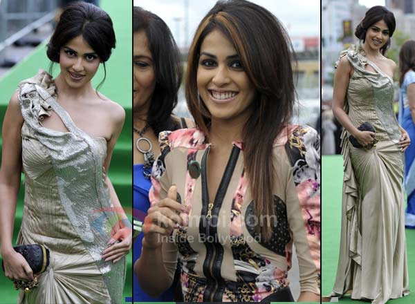 Genelia D'souza Dazzles At IIFA!