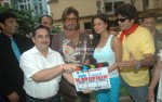 Ali Hassan, Deepak Bali, Irfan Malik, Shakti Kapoor, Veena Malik, Anand Balraj