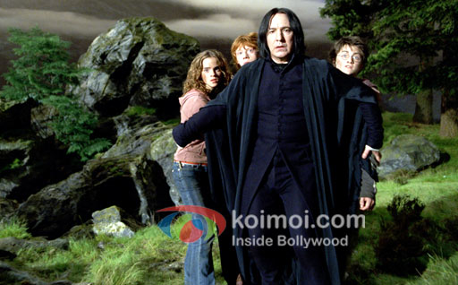 Growing Up With Harry Potter