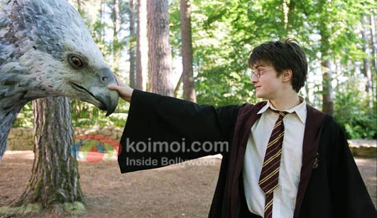 Growing Up With Harry Potter