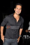 Dino Morea