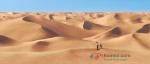 The Adventures Of Tintin Movie Stills
