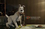The Adventures Of Tintin Movie Stills