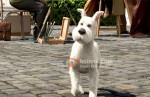 The Adventures Of Tintin Movie Stills