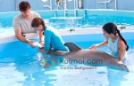 Nathan Gamble (Dolphin Tale Movie Stills)
