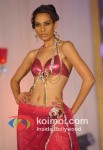 Models At Kimaya Fashion Show