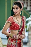 Asin Thottumkal (Housefull 2 Movie Stills)