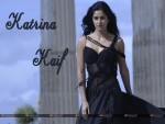 Katrina Kaif Wallpaper 2