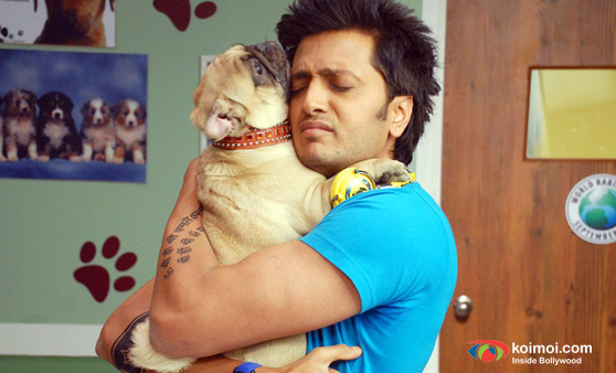 Ritesh Deshmukh In Kyaa Super Kool Hai Hum Movie Stills