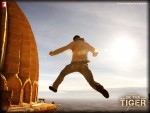 Salman Khan Ek Tha Tiger Movie Wallpaper 8