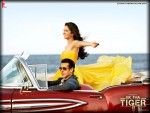 Salman Khan and Katrina Kaif Ek Tha Tiger Movie Wallpaper 3