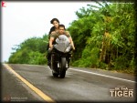Salman Khan and Katrina Kaif Ek Tha Tiger Movie Wallpaper 9