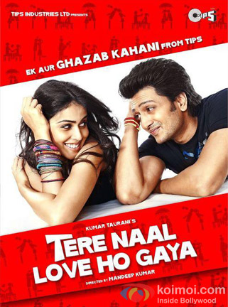 Ritesh Deshmukh And Genelia D'Souza (Tere Naal Love Ho Gaya Movie Poster)