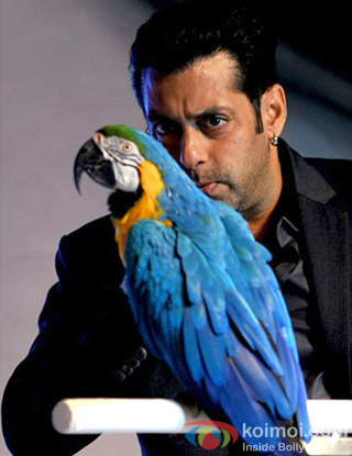Salman Khan in Bigg Boss Season 6 Salman Khan in Bigg Boss Season 6