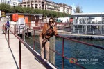 Hottie Poonam Jhawar Enjoying Holiday in Switzerland Pic 1