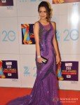 Shazahn Padamsee at Zee Cine Awards 2013 Pic 2