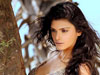 Sherlyn Chopra